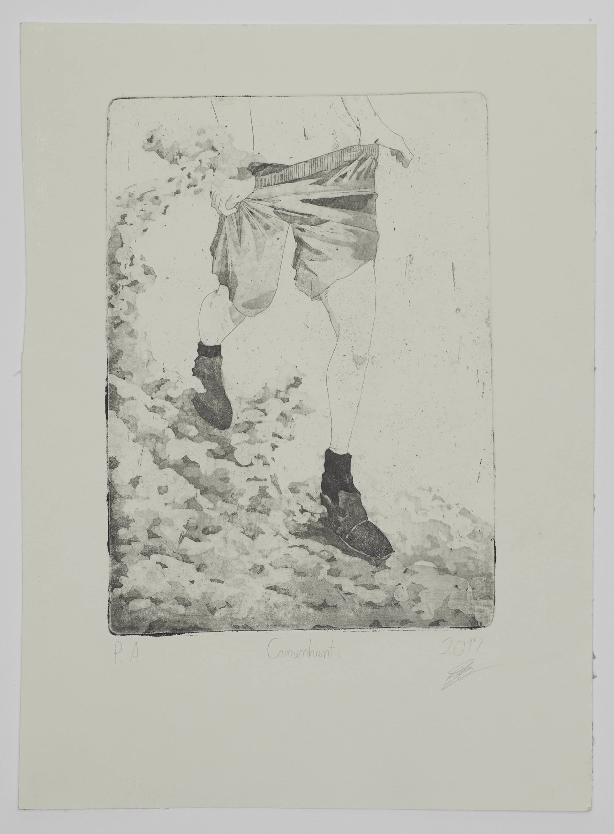 Front image for: Caminhante